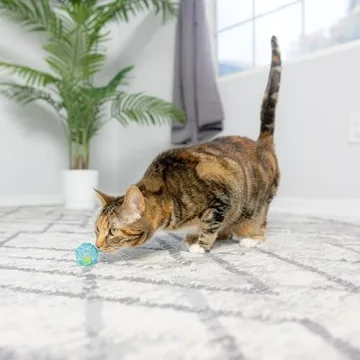 Colorful Jingly Balls for Cats - Affordable Fun