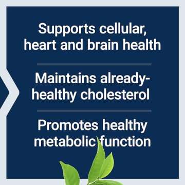 Life Extension Decaffeinated Mega Green Tea Extract – Polyphenol-Rich, Cell Health, Heart Health, Brain Health, Antioxidant Protection – Non-GMO, Gluten-Free, Vegetarian – 100 Capsules