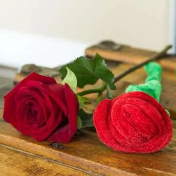 Vibrant T play Rose Flower Plush for Kids