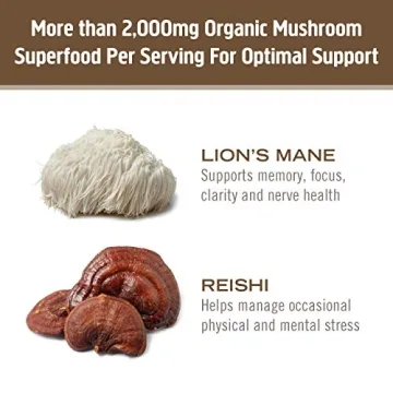 OM Mushroom Brain Fuel - Mocha Flavor Drink Supplement