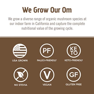 OM Mushroom Brain Fuel - Mocha Flavor Drink Supplement