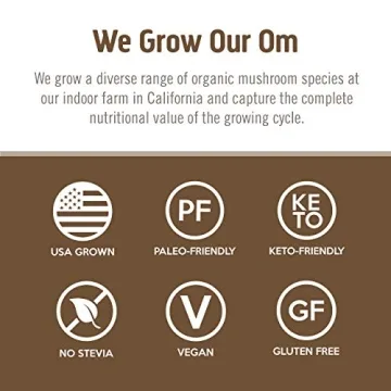OM Mushroom Brain Fuel - Mocha Flavor Drink Supplement