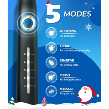 TEETHEORY Electric Toothbrush Sonic Deep Cleaning Rechargeable