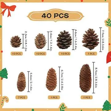 Jangostor 40 PCS Pine Cones Decorations, Natural Pine Cones Bulk Package - Large Medium and Mini Size Rustic Pine cone Ornaments for Table Christmas Tree Crafts Gifts Halloween Thanksgiving Home Decor
