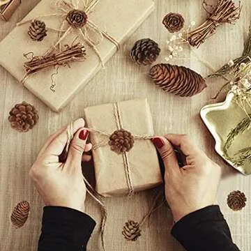 Jangostor 40 PCS Pine Cones Decorations, Natural Pine Cones Bulk Package - Large Medium and Mini Size Rustic Pine cone Ornaments for Table Christmas Tree Crafts Gifts Halloween Thanksgiving Home Decor