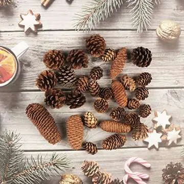 Jangostor 40 PCS Pine Cones Decorations, Natural Pine Cones Bulk Package - Large Medium and Mini Size Rustic Pine cone Ornaments for Table Christmas Tree Crafts Gifts Halloween Thanksgiving Home Decor