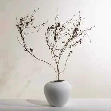 Elegant MORSHA Ceramic White Vase for Home Decor