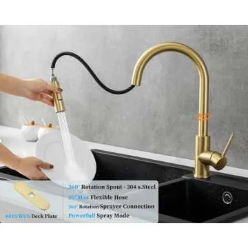 Havin Gold Kitchen Faucet with Pull Down Sprayer