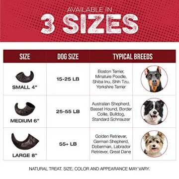 Water Buffalo Horn Dog Chew 4 Pack - Large 8" - All Natural Free Range Grass Fed Single Source Protein - No Chemicals, Additives, Hormones - Long Lasting, Good for Aggressive Chewers – by Fang & Claw