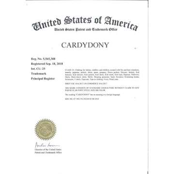 Stylish CARDYDONY Women's Chiffon Beach Cover-up Floral Blue