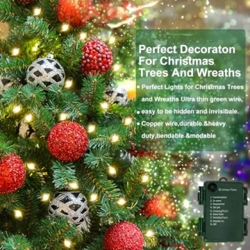 FairyGlim 100 Micro LED Christmas Lights with Timer