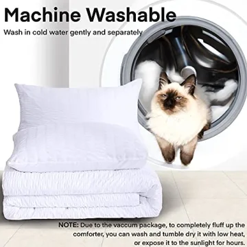 AveLom Seersucker Queen Comforter Set – Soft & Stylish Comfort