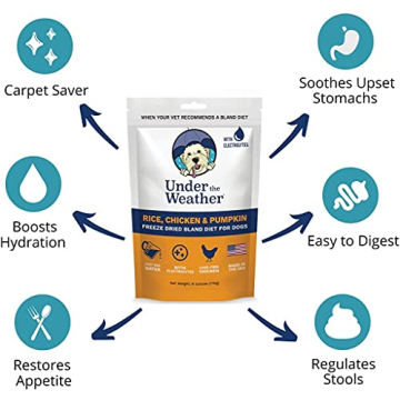 Under the Weather Bland Diet for Dogs | Easy to Digest for Sick Dogs |Always Be Ready | Contains Electrolytes - All Natural Freeze Dried 100% Human Grade Meats | 2 Pack - Rice, Chicken & Pumpkin - 6oz