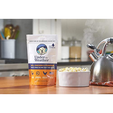 Under the Weather Bland Diet for Dogs | Easy to Digest for Sick Dogs |Always Be Ready | Contains Electrolytes - All Natural Freeze Dried 100% Human Grade Meats | 2 Pack - Rice, Chicken & Pumpkin - 6oz