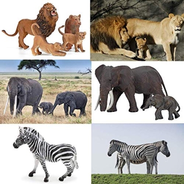 BOLZRA Safari Zoo Animals Figures Toys Realistic Jungle Set