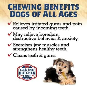 All-Natural USA Turkey Tendons for Dogs - Healthy Chews