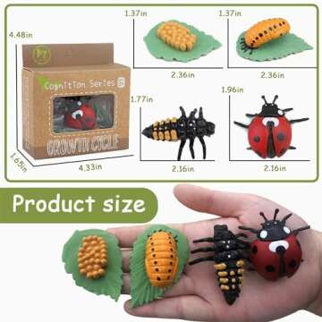 Mbrain Life Cycle Learning & Education Toys,Montessori Toys Figurines for Frog, Butterfly, Ladybug,P...
