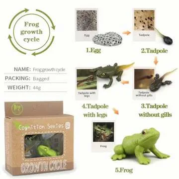 Mbrain Life Cycle Learning & Education Toys,Montessori Toys Figurines for Frog, Butterfly, Ladybug,Plants Kit,Gift for Girl & Boy for 3 4 5 Year Old