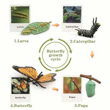 Mbrain Life Cycle Learning & Education Toys,Montessori Toys Figurines for Frog, Butterfly, Ladybug,Plants Kit,Gift for Girl & Boy for 3 4 5 Year Old