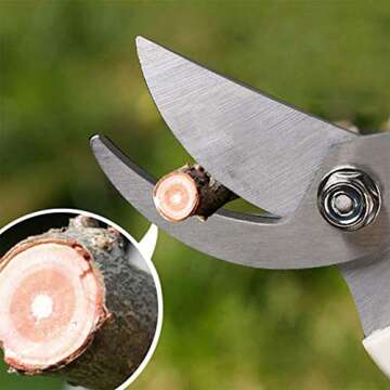 BUGUI Garden Shears Set of 2, Includes 1 Bypass Pruning Shears and 1 Straight Blade Garden Scissors, Sharp, Lightweight