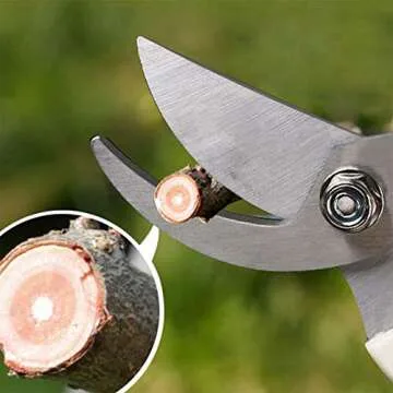 BUGUI Garden Shears Set of 2, Includes 1 Bypass Pruning Shears and 1 Straight Blade Garden Scissors, Sharp, Lightweight