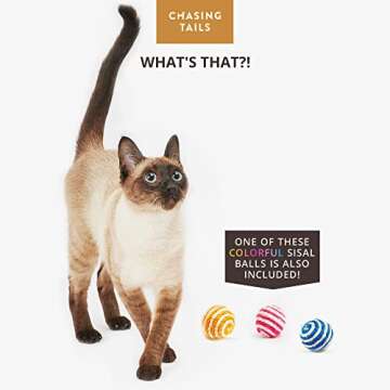 Chasing Tails Handcrafted Cat Cave Bed - New Zealand Wool Eco-Friendly Cat Beds for Indoor Cats Cave, Cat Houses for Indoor Cats, Cat Bed Cave, Comes with Cardboard Cat House Indoor, Kitten Bed