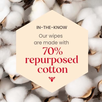 Burt’s Bees Makeup Remover Wipes - Eco-Friendly Cleanser