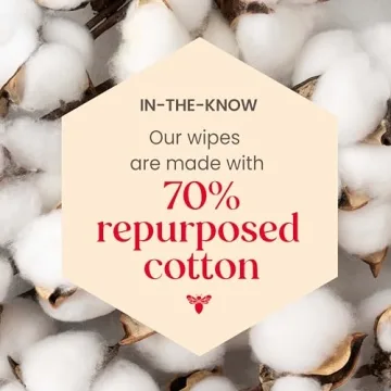 Burt’s Bees Makeup Remover Wipes - Eco-Friendly Cleanser