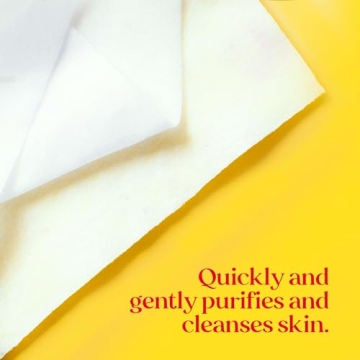 Burt’s Bees Makeup Remover Wipes - Eco-Friendly Cleanser