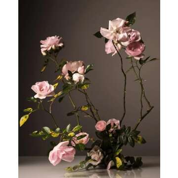 Homecourt Steeped Rose Dish Soap, Dishwashing Liquid with Clean Ingredients, Non-Toxic Dish Soap Liquid, Safe for People and Pets - 16 oz