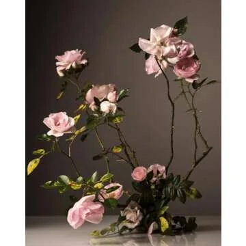 Homecourt Steeped Rose Dish Soap, Dishwashing Liquid with Clean Ingredients, Non-Toxic Dish Soap Liquid, Safe for People and Pets - 16 oz