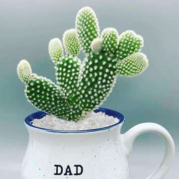 Top Plaza Natural Clear Quartz Tumbled Chips Crushed Stones Reiki Healing Quartz Crystals Irregular Shaped Gemstones 0.45lb