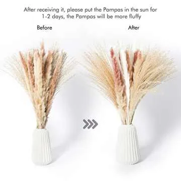 Dried Pampas Grass, 60 Pcs Fluffy White Pompous Grass Reed Grass Brown Pampas, 20" Fluffy Dried Pampas Grass Small, Small Pampas Grass Boho Arrangement for Home Decor, Wedding, Living Room