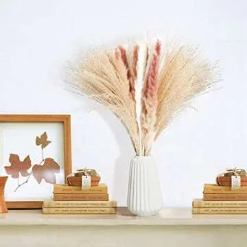Dried Pampas Grass, 60 Pcs Fluffy White Pompous Grass Reed Grass Brown Pampas, 20" Fluffy Dried Pampas Grass Small, Small Pampas Grass Boho Arrangement for Home Decor, Wedding, Living Room