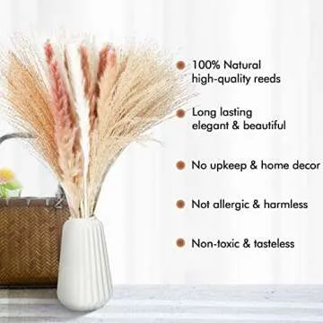 Dried Pampas Grass, 60 Pcs Fluffy White Pompous Grass Reed Grass Brown Pampas, 20" Fluffy Dried Pampas Grass Small, Small Pampas Grass Boho Arrangement for Home Decor, Wedding, Living Room