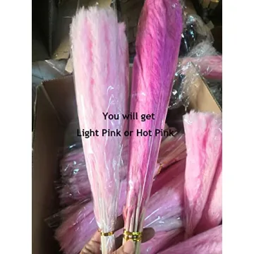 MQQ Natural Dried Pampas Grass Bundle for Home Decor