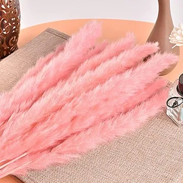 MQQ Natural Dried Pampas Grass Bundle for Home Decor