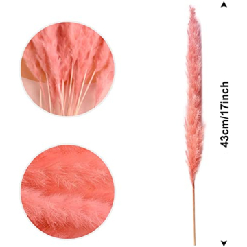 MQQ Natural Dried Pampas Grass Bundle for Home Decor