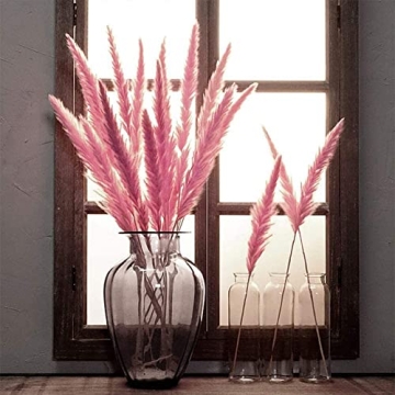 MQQ Natural Dried Pampas Grass Bundle for Home Decor