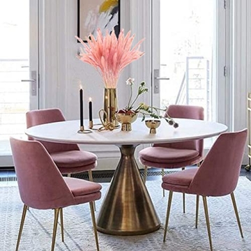 MQQ Natural Dried Pampas Grass Bundle for Home Decor