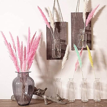MQQ Natural Dried Pampas Grass Bundle for Home Decor