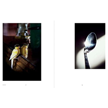 Shannon Taggart Séance Stunning Spiritualism Photography Book