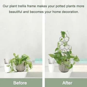 WellSign Small Trellis for Potted Plants, 15.94 inch Metal Plant Trellis for Climbing Plants Indoor Pot Honeycomb Shape Lattice for Ivy Vines Hoya Houseplants Flower 2 Pack