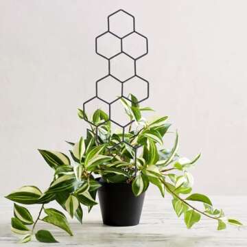 WellSign Small Trellis for Potted Plants, 15.94 inch Metal Plant Trellis for Climbing Plants Indoor Pot Honeycomb Shape Lattice for Ivy Vines Hoya Houseplants Flower 2 Pack