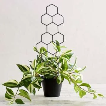 WellSign Small Trellis for Potted Plants, 15.94 inch Metal Plant Trellis for Climbing Plants Indoor Pot Honeycomb Shape Lattice for Ivy Vines Hoya Houseplants Flower 2 Pack