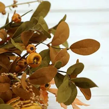 WreathDream 20" Fall Wreath for Front Door Decorations