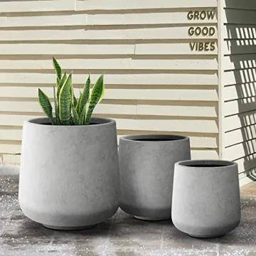 Stylish Kante Concrete Planters for Indoor Outdoor Use