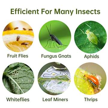 Stingmon 48 Pieces Plants Fruit Fly and Fungus Killer Indoor and Outdoor, Sticky Gnat Traps,Non-Toxic and Odorless, 48Pack