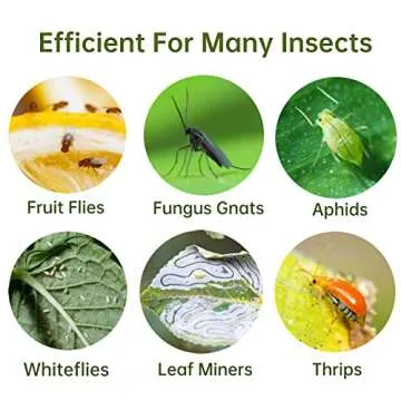 Stingmon 48 Pieces Plants Fruit Fly and Fungus Killer Indoor and Outdoor, Sticky Gnat Traps,Non-Toxic and Odorless, 48Pack