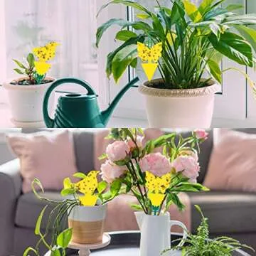 Stingmon 48 Pieces Plants Fruit Fly and Fungus Killer Indoor and Outdoor, Sticky Gnat Traps,Non-Toxic and Odorless, 48Pack